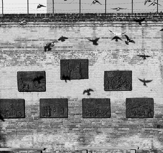 Foto in bianco e nero del muro con gli uccelli in volo. Arte fotografica in bianco e nero di Michele Levis. Stampe d'arte fine di Michele Levis.